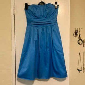 Powder blue David's Bridal strapless dress